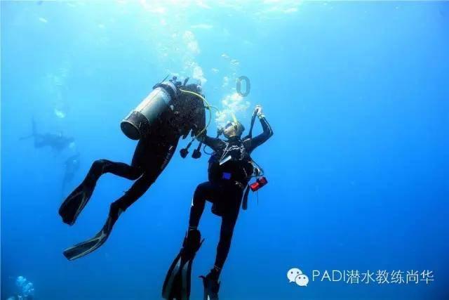 血火青树坪,四野入关后唯一一次失利,伤亡到底有多大(续)